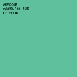 #5FC09E - De York Color Image